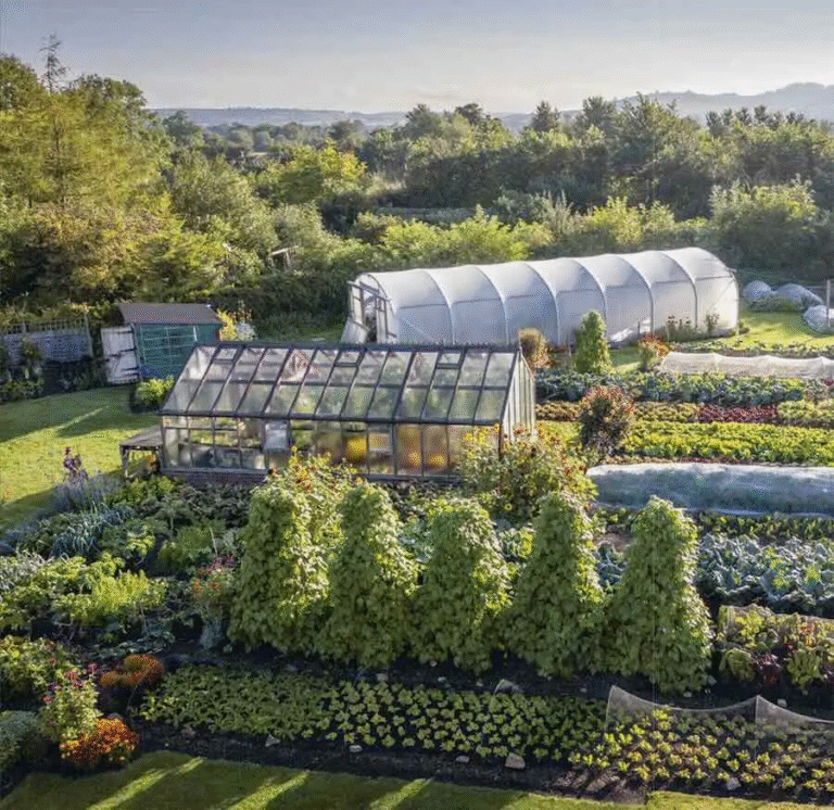 No-Dig Vegetable Garden: How to Start One for Beginners