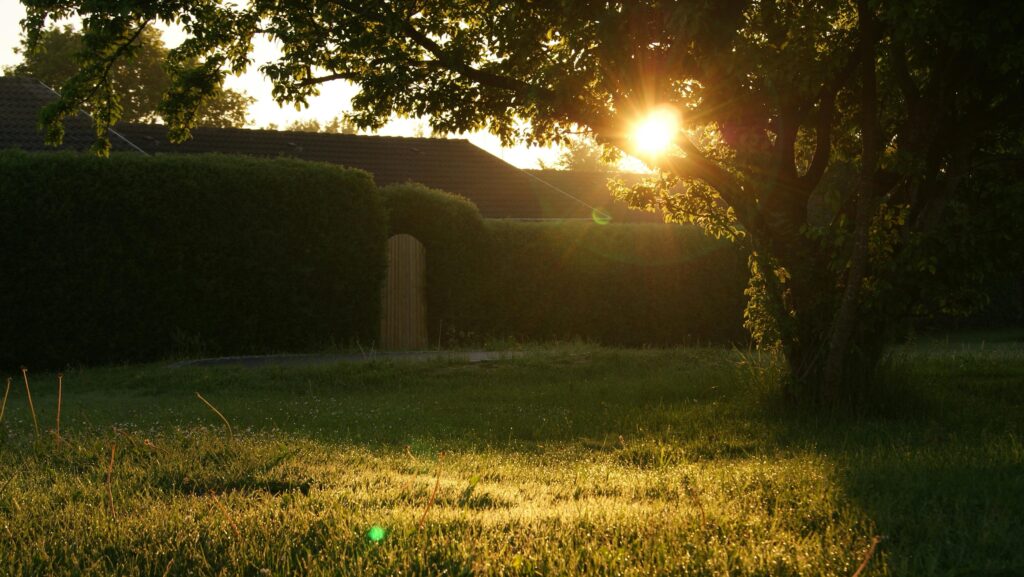 Budget Landscape: How to DIY Landscape Your Yard
