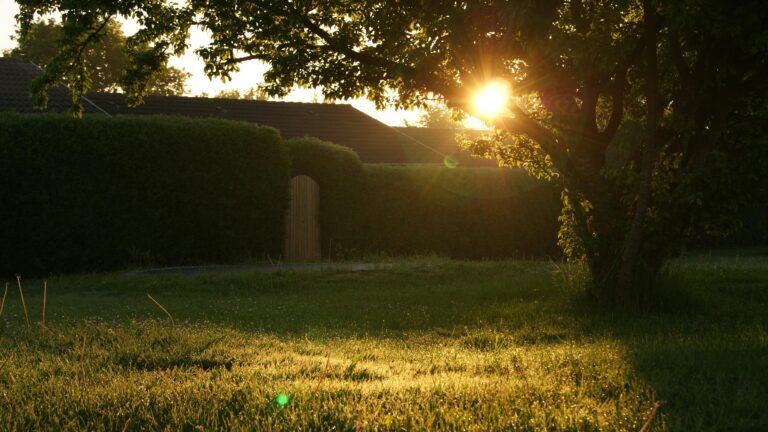 Budget Landscape: How to DIY Landscape Your Yard