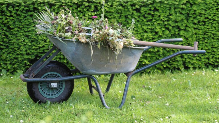 Backyard Compost: How to do it Easy (Even in Small Spaces)