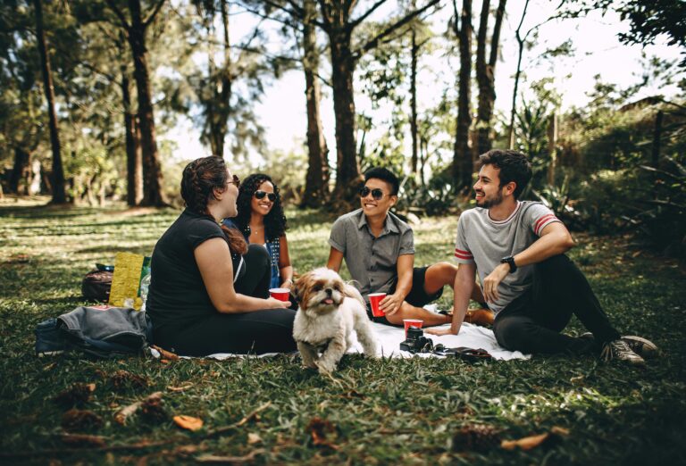 Backyard Picnic Guide: How to Host the Perfect Backyard Picnic or BBQ