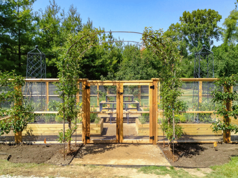 DIY Garden Fence: A 1‑Weekend Playbook From My Splinter‑Filled Notebook