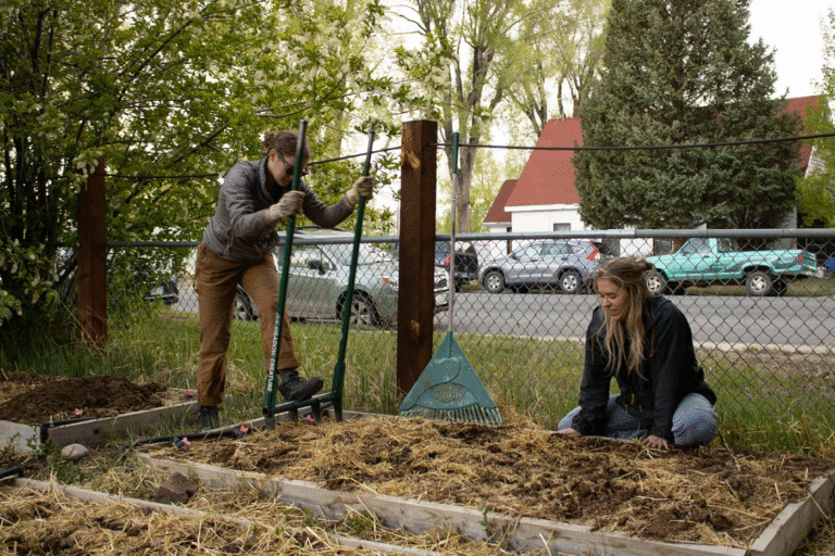How to Winterize Raised Garden Beds Without Plastic: My 9‑Step Cold‑Weather Ritual