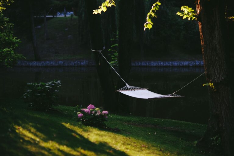Best Backyard Hammock: 9 Relaxation Winners for Every Yard