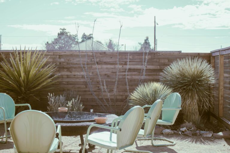 Texas Native Plants: 25 Drought-Smart Picks for Every Lone Star Landscape